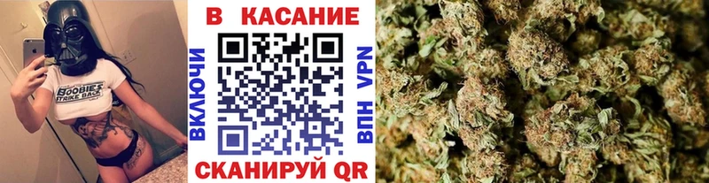 Все наркотики Пушкино Гашиш  Alpha PVP  ЭКСТАЗИ  Бошки Шишки  гидра вход  Мефедрон  Cocaine 
