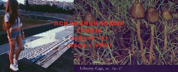 дмт Алексеевка