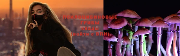 дмт Алексеевка