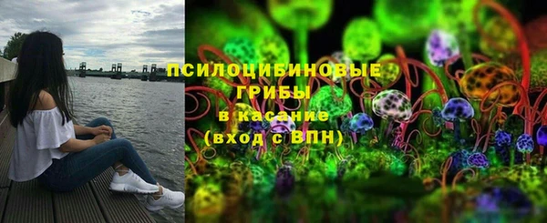 дживик Алзамай