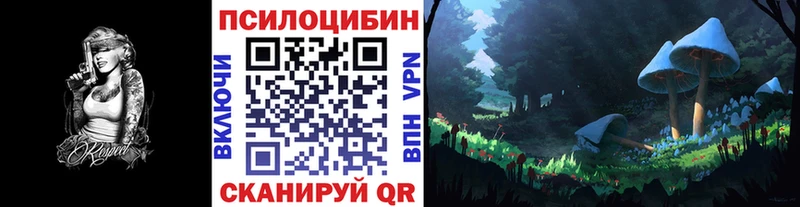 Псилоцибиновые грибы Cubensis  где купить   Пушкино 