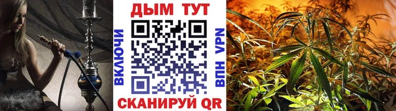 Канабис конопля  Пушкино 